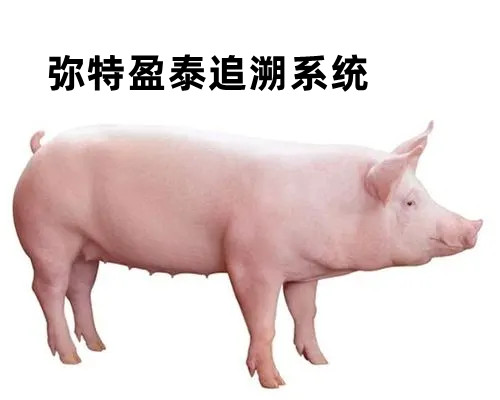 ���i׷��ϵ�y(t��ng)��Q���i�|(zh��)����Դ�y�}